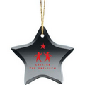 Glass Star Ornament